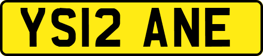YS12ANE