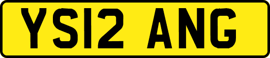 YS12ANG