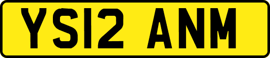 YS12ANM