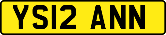 YS12ANN