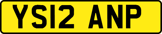 YS12ANP