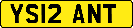 YS12ANT