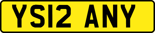 YS12ANY