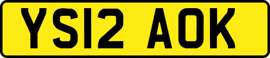 YS12AOK