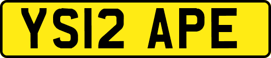 YS12APE