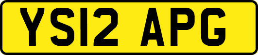 YS12APG