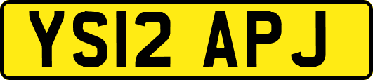 YS12APJ