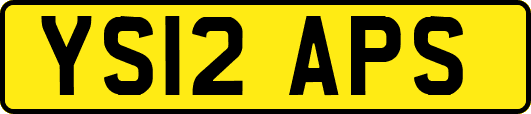 YS12APS
