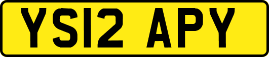YS12APY