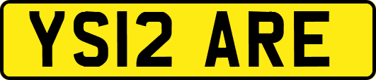 YS12ARE