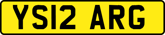 YS12ARG