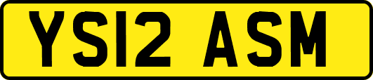 YS12ASM