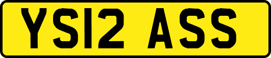 YS12ASS