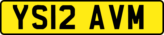 YS12AVM