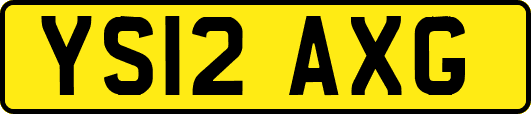 YS12AXG