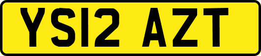 YS12AZT