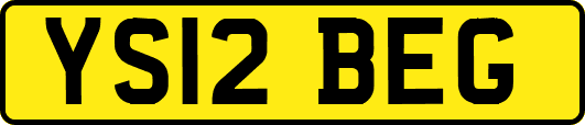YS12BEG