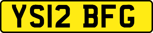 YS12BFG