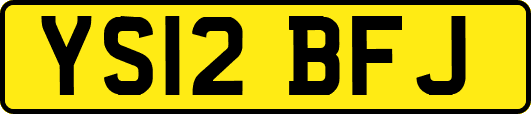 YS12BFJ