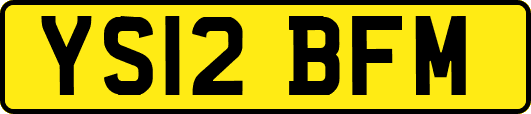 YS12BFM