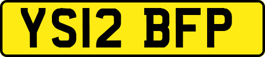 YS12BFP