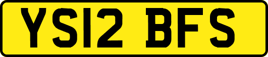 YS12BFS