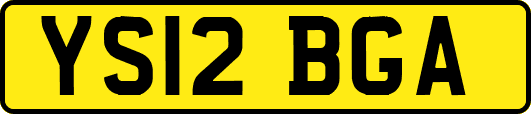 YS12BGA