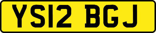 YS12BGJ