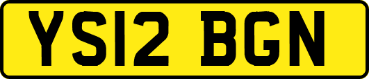 YS12BGN