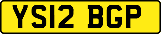 YS12BGP