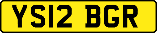 YS12BGR