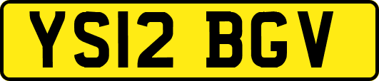 YS12BGV