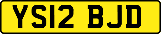 YS12BJD