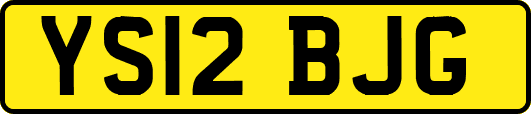 YS12BJG