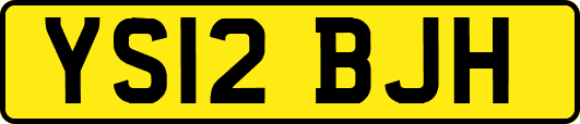 YS12BJH