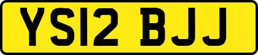 YS12BJJ