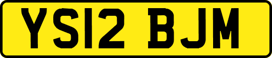 YS12BJM