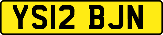 YS12BJN