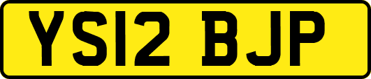 YS12BJP
