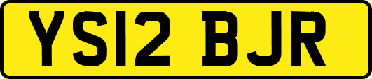YS12BJR