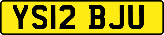 YS12BJU