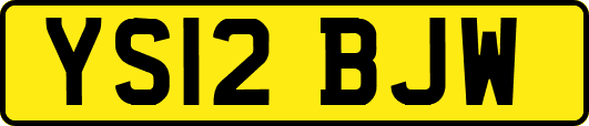 YS12BJW