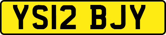YS12BJY