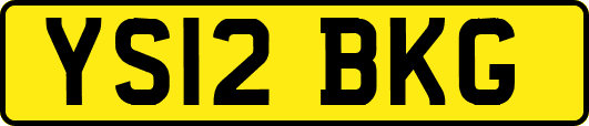 YS12BKG