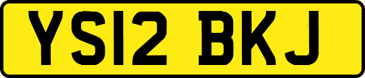 YS12BKJ
