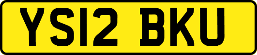 YS12BKU