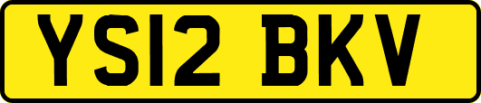 YS12BKV
