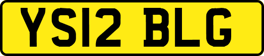 YS12BLG