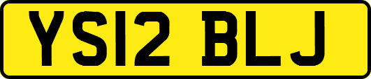 YS12BLJ