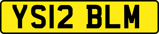 YS12BLM